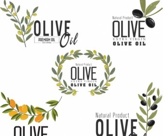 Olio D'oliva Frutta Foglia Logotipi Icone Diverse Decorazioni