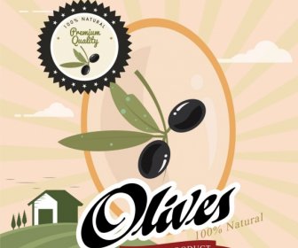 橄欖果實密封產品廣告圖標的農場背景
