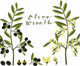 Olive Tree Icons Green Design