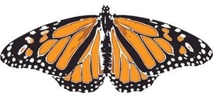 オレンジと黒のグランジかわいい蝶ベクトル描画