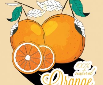 Orange Fruit Publicité Coloré Classique Plat Croquis