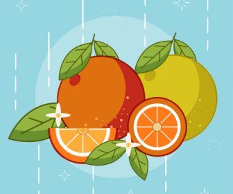 Orange Fruit Background Colorful Classic Handdrawn Sketch