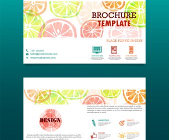Orange Fruit Brochure Template