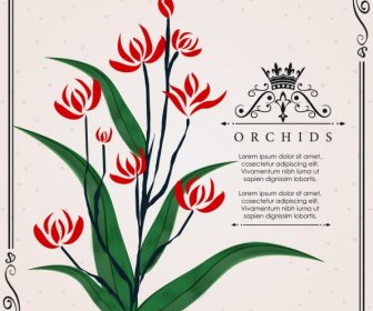 Orchid Background Classical Handdrawn Design