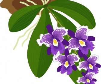 Orchidee Hintergrund Bunte Blüten Blätter Skizze