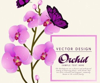 Orchid Background Violet Butterfly Icons Decoration