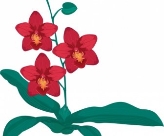 Ikon Flora Anggrek Sketsa Gambar Tangan Klasik Merah Hijau