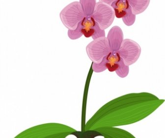 Orchidee-Symbol Grün Violett Skizze