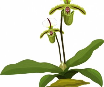 Роспись орхидей ярко-зеленым белым дизайном