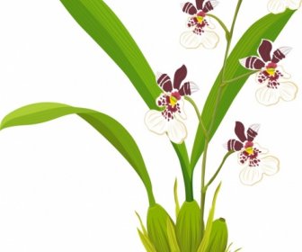 Pintura De Orquídeas Coloridas Design Clássico