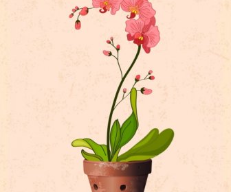 Orquídea Vaso Desenho 3d Design Retro