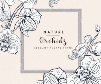 Orchids Background Handdrawn Sketch
