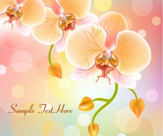 Orchids Background Sparkling Multicolored Decoration