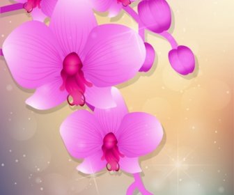 Orchids Background Sparkling Violet Decoration