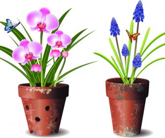 Orchids Flower Pot