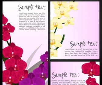 Orchids Paintings Sets Colorful Decoration