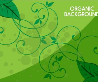 Organic Background Leaves And Curved Decoration In Green