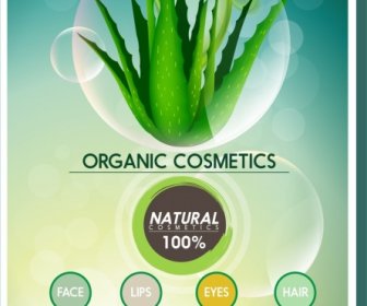 Promosi Kosmetik Organik Banner Aloe Ikon Ornamen