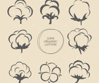 Organic Cotton Advertisement Silk Flowers Icons Retro Sketch