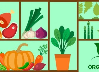 Elemen Desain Makanan Organik Dengan Berbagai Jenis Gaya
