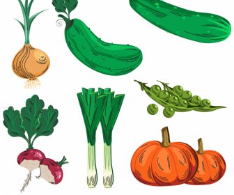 Organic Food Icons Colored Classical Sketch