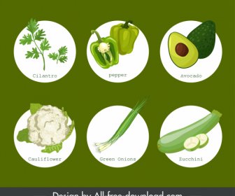 Organic Food Icons Green Vegetables Fruits Sketch