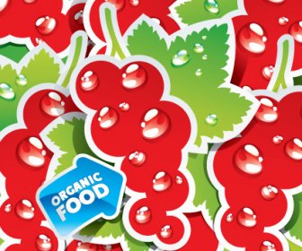 Makanan Organik Label Stiker Desain Vektor