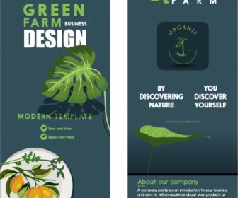 Bio-Lebensmittel-Prospektvorlagen Elegantes Dunkles Klassisches Design