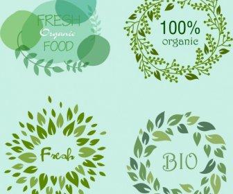 Alimenti Biologici Logotipi Verde Lascia Il Cerchio Decori
