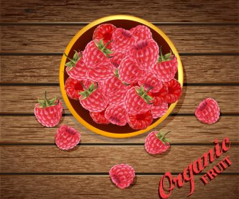 органические фрукты векторные иллюстрации с красными ягодами