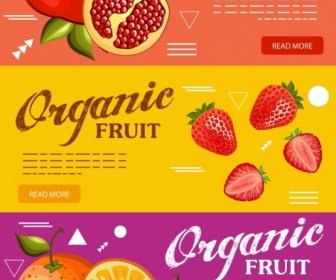 Fruits Biologiques Grenade Fraise Orange Icônes Publicitaires