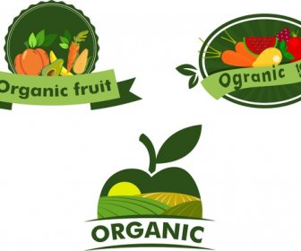 Organic Fruits Logo Sets Various Shaped Symbol Elements