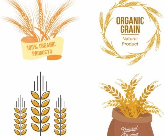 Organic Product Logotypes Barley Icons Various Shapes Isolation