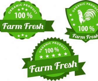Organic Products Labels Collection Various Green Shaped Design