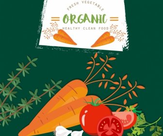 โฆษณาอินทรีย์ผักแครอทมะเขือเทศกระเทียมไอคอน