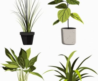 Ornamento Vasos De Plantas ícones Folhas Verdes Esboço