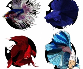 관상용 물고기 아이콘 다채로운 스케치 수영 종