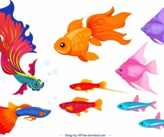 Ornamental Fish Icons Colorful Species Design