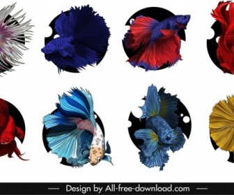 Ornamental Fish Icons Colorful Swimming Sketch