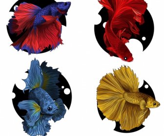 Ornamental Fish Icons Elegant Motley Design