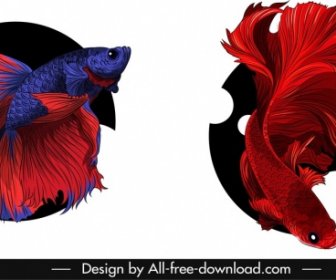 관상용 물고기 아이콘 화려한 3D 스케치