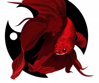 觀賞魚畫深紅色豔麗的裝飾