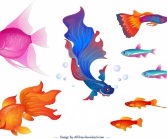 Ornamental Fishes Icons Colorful Cartoon Design