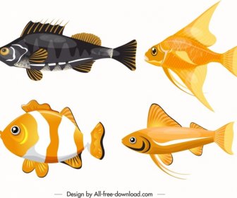 Peixes Ornamentais ícones Design Colorido Moderno