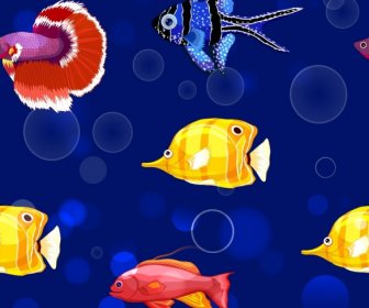 Ornamental Fishes Pattern Colorful Swimming Species Decor