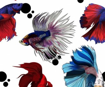 Pesci Ornamentali Modello Multicolore Movimento Arredamento