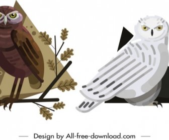 Owl Animal Icons Brown White Design Cartoon Sketch