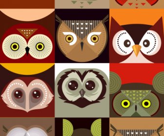 Owl Faces Backgrounds Colored Flat Symmetric Design