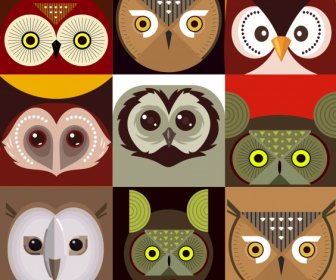 猫头鹰脸背景五颜六色的平面对称特写设计
