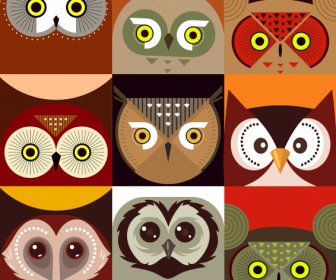 Owl Faces Backgrounds Colorful Flat Symmetric Sketch